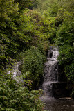 Fototapeta Natura - Waterfall in forest