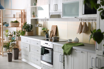 Stylish kitchen interior with green plants. Home decoration