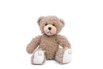 cute brown bear isolated on white background.