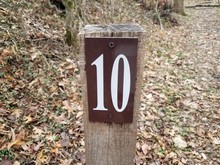 The Number 10 On Wood Post In Forest Or Woods