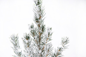 Wall Mural - Christmas abstract photo. Christmas decoration with small design elements. Happy 2020 New Year!