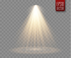 Aufkleber - Spotlight isolated on transparent background. Vector sunlight with gold rays and beams. Vector warm light effect