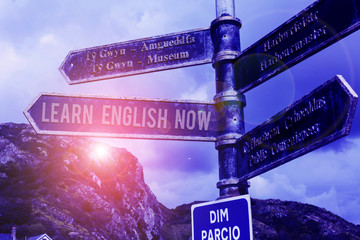 Poster - Word writing text Learn English Now. Business photo showcasing gain or acquire knowledge and skill of english language Road sign on the crossroads with blue cloudy sky in the background