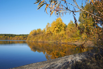 Wall Mural - autumn landscape with lake and trees