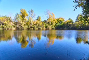 Wall Mural - lake in autumn