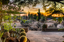 Arizona Patio At Sunset