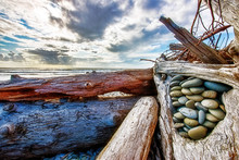 Rock Cache In Log On Washington State Beach
