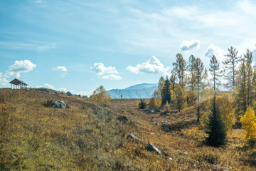 Poster - Autumn autumn in Xinjiang.