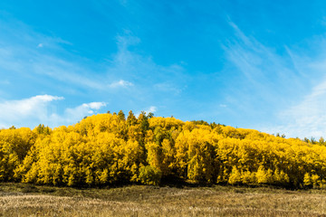 Poster - Autumn autumn in Xinjiang.