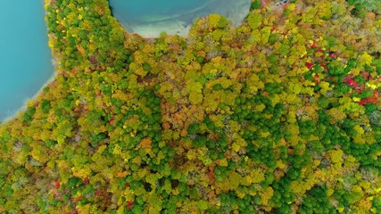 Canvas Print - 紅葉の中禅寺湖湖畔空撮