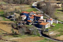 High Angle Shot Of A Small Village With Bare Trees In Istria, Croatia