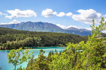 Wall Mural - Beautiful glacier water and mountains near Skagway, Alaska