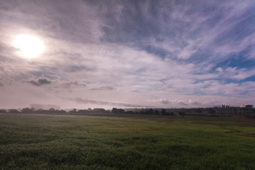 time lapse of an agriculture field with thick mists of fog at the crack of dawn