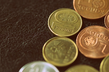 Wall Mural - Belarusian coins on a dark surface close-up. Money background retro style toned