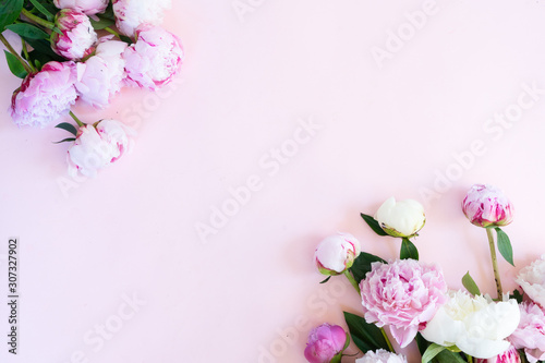 Fresh peony flowers