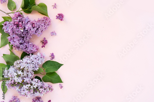 Fresh lilac flowers