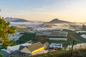 Green houses on valley in misty morning sky