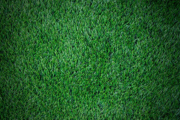 Canvas Print - Artificial grass texture background