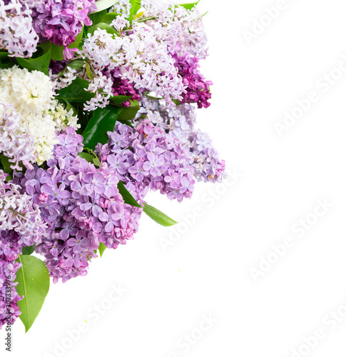 Fresh lilac flowers
