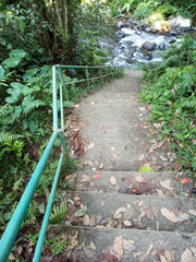 Wall Mural - Forest river stairs in perspective. Outdoor stairs with iron fence and autumn leaves background. Stairs to climb around nature with fresh river view. Life challenge & adventure concept.