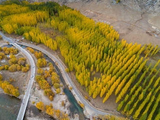 Wall Mural - Xinjiang Coco Tuohai autumn scenery