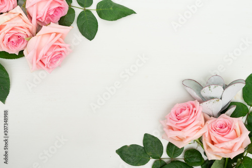 fresh rose flowers