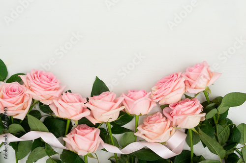 fresh rose flowers