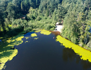 Tranquil Lake Bonney on a warm sunny day in Bonney Lake Washington State