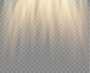 Sticker - Spotlight isolated on transparent background. Vector gold rays and beams. Vector warm light effect