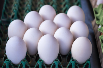 Nahaufnahme von Gänseeiern auf dem Markt