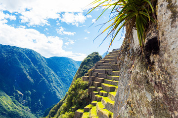 Wall Mural - View of the ancient city of Machu Picchu, Peru.