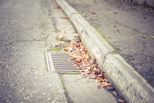 Flooding Threat, Fall Leaves Clogging A Storm Drain On A Wet Day, Street And Curb