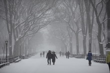 Cpouple Walking In Snowstorm Under Canopy Of Trees In New York's Central Park
