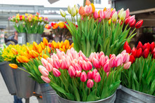 Bunches Of Beautiful Tulip Flowers For Sale In A Flower Market. Colorful Tulips. Florist Service. Woman Day