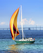 Colorful Sailboat in front of the Bay Bridge