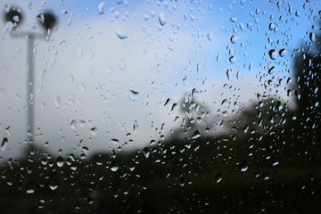 Wall Mural - Raindrops in focus on a car window from the inside