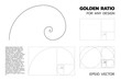 Golden Ratio - Various types. For any designing such as graphic design or visual art. Vector illustration with layers.