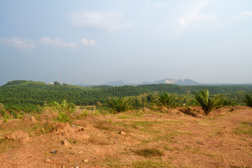 A landscape captured from a hill. There are trees, plants, mountain and blue sky on the background.