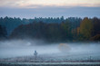 © Johnér - Fog over fields