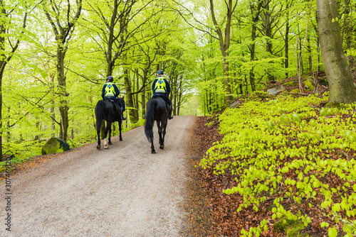 Fotografía Policewomen on horses in forest