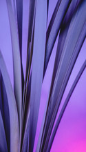 Pastel Violet Floral Background