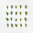 © Yaroslav Danylchenko/Stocksy - Natural square pattern of green pine needles twigs on a light gray background, place for text. Top view.