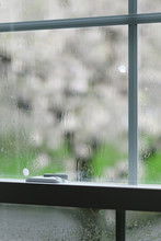 Window On Rainy Day