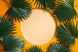 © Maki Company Limited/Stocksy - Green Leaves Arranged With Orange Background