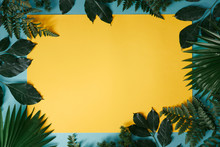 Branches Of Green Leaves On Blue Background With Yellow Paper.