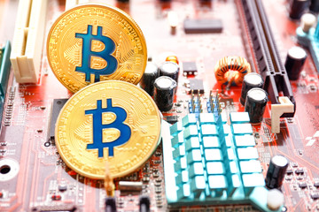 Wall Mural - Golden bitcoins on PC circuit board