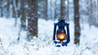 © raland - Vintage hand lantern a wooden stump in the woods during the winter season. Christmas theme.  Hiking, wilderness and peace concepts. Copy space.