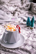 Winter compostion. Christmas lifestyle photo with mini marshmallows hit chocolate
