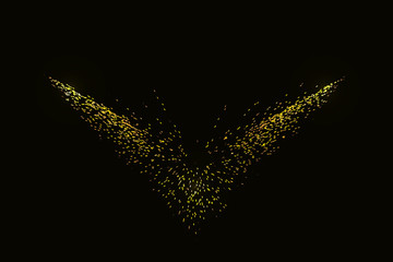 Poster - Abstract wing pattern is composed of colorful dynamic particles