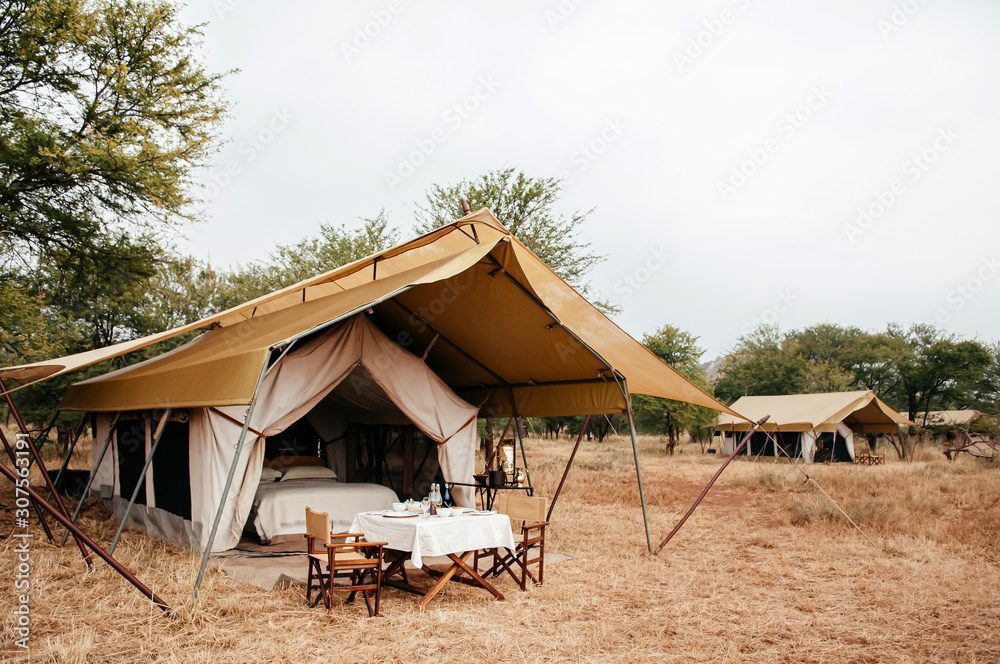 Luxury Safari tent camp in Serengeti Savanna forest - Glamping travel in Africa wild forest - obrazy, fototapety, plakaty 